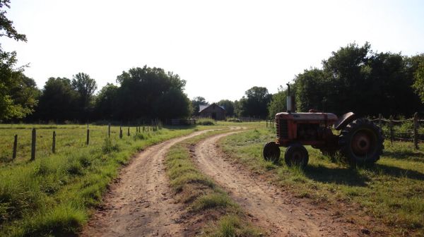 Guide d'achat d'un micro tracteur d'occasion : conseils essentiels